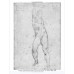Рисунки Микеланджело: Фигура