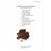 Основы композиции (англ. яз.) - PDF